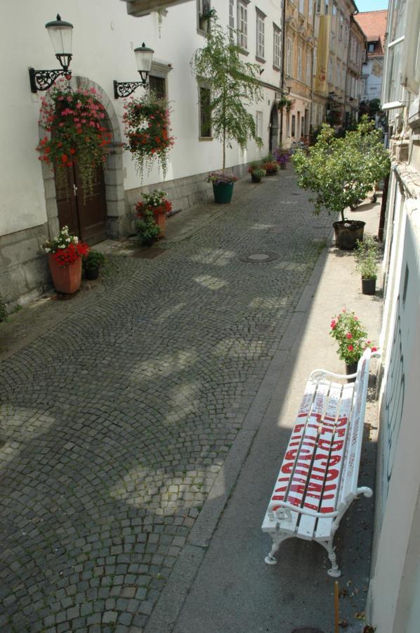 Vitez Apartment I Любляна Экстерьер фото